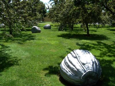 DSCF0045 (Medium).JPG