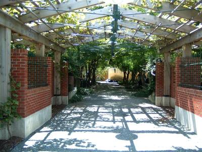 DSCF0048 (Medium).JPG