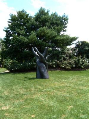 DSCF0052 (Medium).JPG