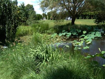 DSCF0054 (Medium).JPG