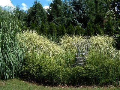 DSCF0058 (Medium).JPG