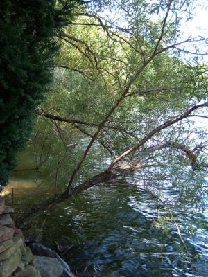 DSCF0065 (Medium).JPG