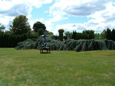 DSCF0083 (Medium).JPG