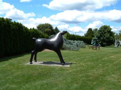 DSCF0084 (Medium).JPG