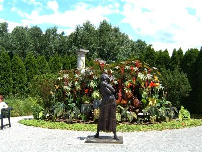 DSCF0087 (Medium).JPG