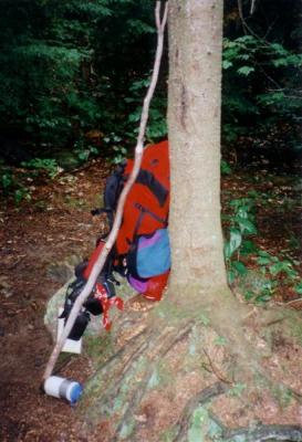 Pack and hiking staff...
