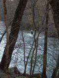 Fly fishing the Musconetcong River