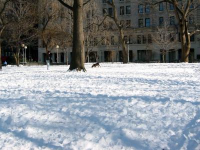 NYU Main Building from the Park