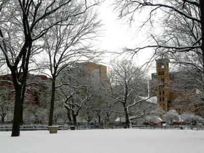 u36/hjsteed/medium/32275082.0403170581.jpg