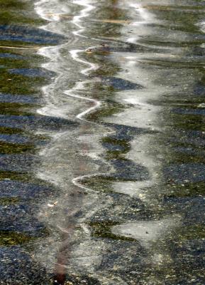 Fountain Pool Reflections