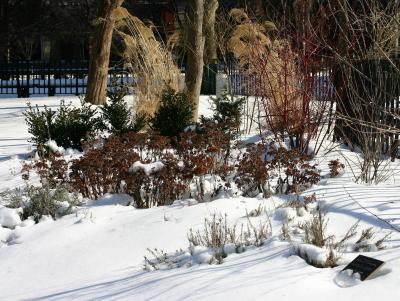 Winter Garden - Washington Square Park