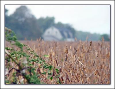 093004_Barn_yonder.jpg