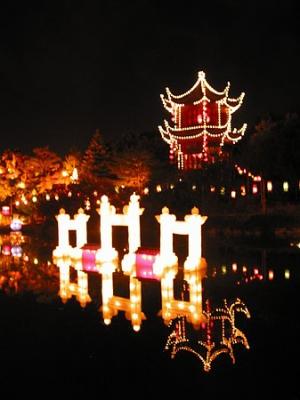CRW_3019.jpg
