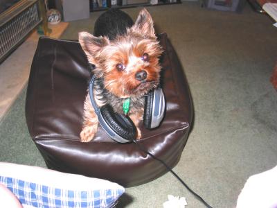 DJ Max In Da House!