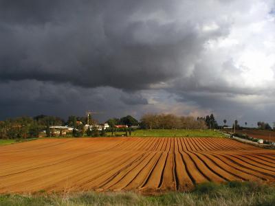 A field before the storm