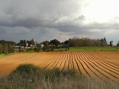 A field before the storm