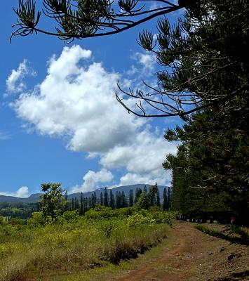 Above Kapalua