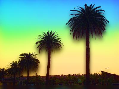 PB173956-processed.jpg