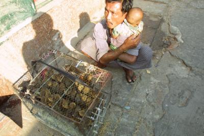 Man selling birds for release and freedom