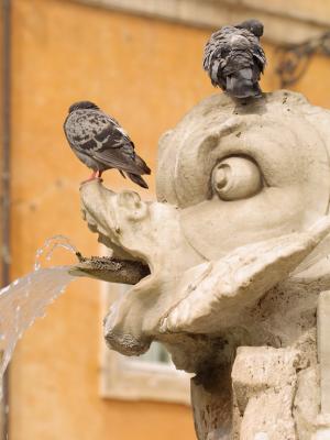 The Fountain