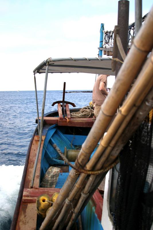 The boat
