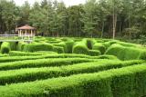 Hedge Maze