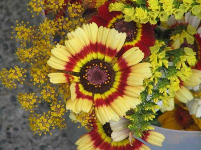 Sun flower