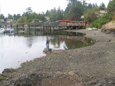 Brentwood Harbour