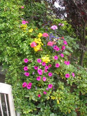 IMG_2489.jpg