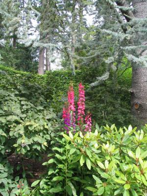 IMG_2495.jpg