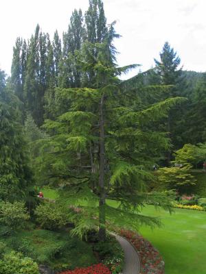 IMG_2563.jpg