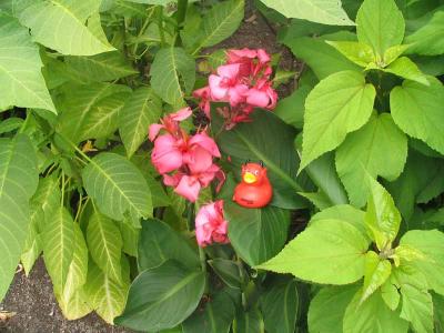IMG_2605.jpg