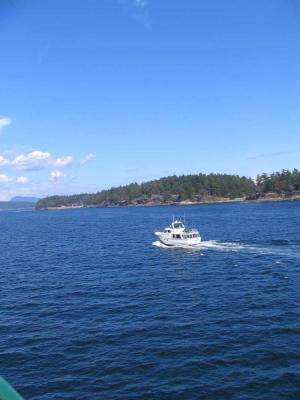 IMG_2763.jpg