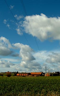 DSCF9805.jpg