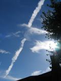 IMG_1001_1_1.JPG