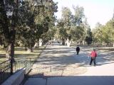DSC00019.JPG