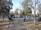 DSC00026.JPG