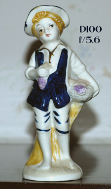 d100-f5.jpg