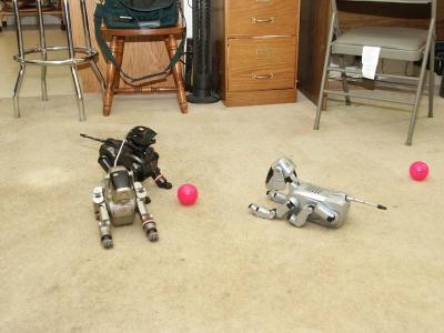 Old Dogs hang together
