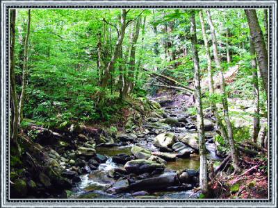 GreenRiver3.jpg