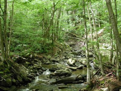 GreenRiver.jpg