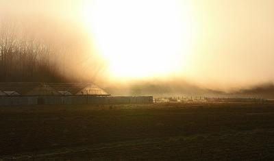 Sun & Fog 2