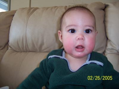 u36/jcwroton/medium/40401668.100_0048.jpg