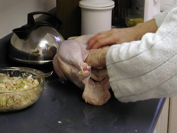 Turkey Time
