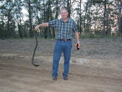 Ron saves the snake.