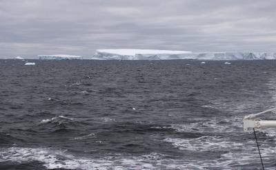 Tabular ice in the Weddell Sea, formerly part of the Larsen Ice Shelf.