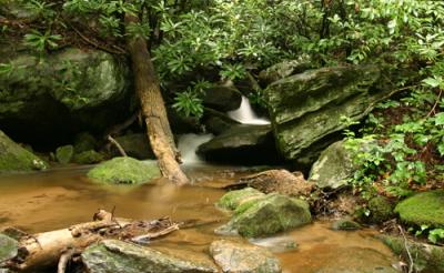 creek_wide.jpg