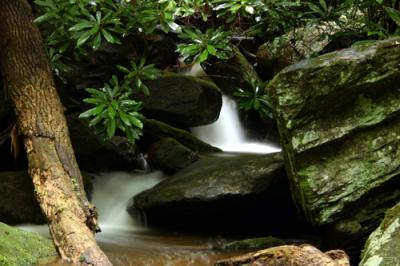 creek_zoom.jpg