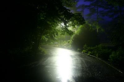 lighted_path.jpg