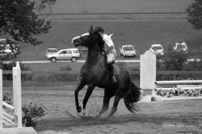 IMG_3786_2.jpg